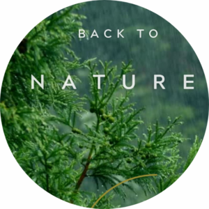 audio back to nature (vuelve a la naturaleza)